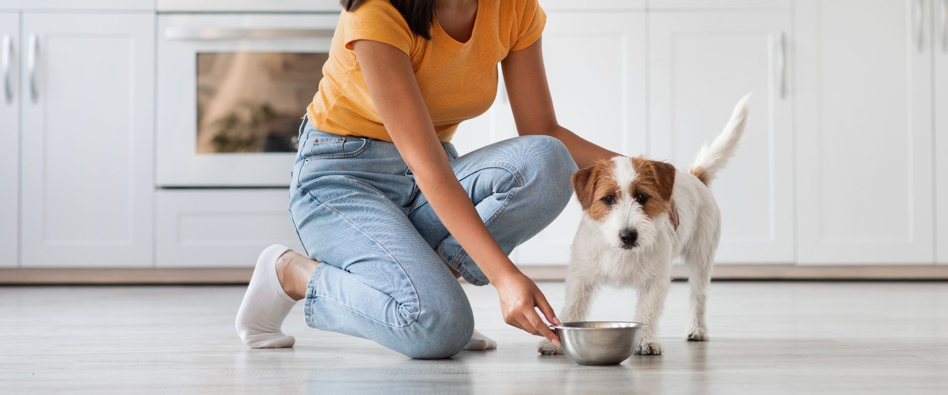 Are cashews good for clearance dogs